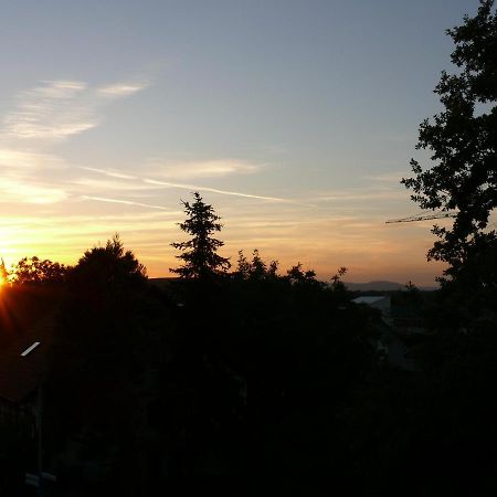 Leiselheimer Hof Sasbach am Kaiserstuhl Esterno foto
