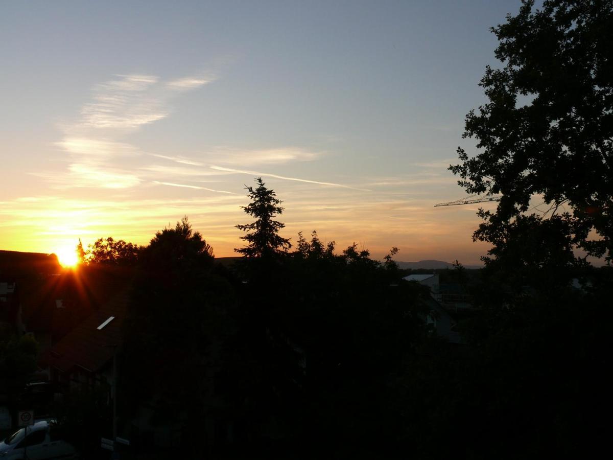 Leiselheimer Hof Sasbach am Kaiserstuhl Esterno foto